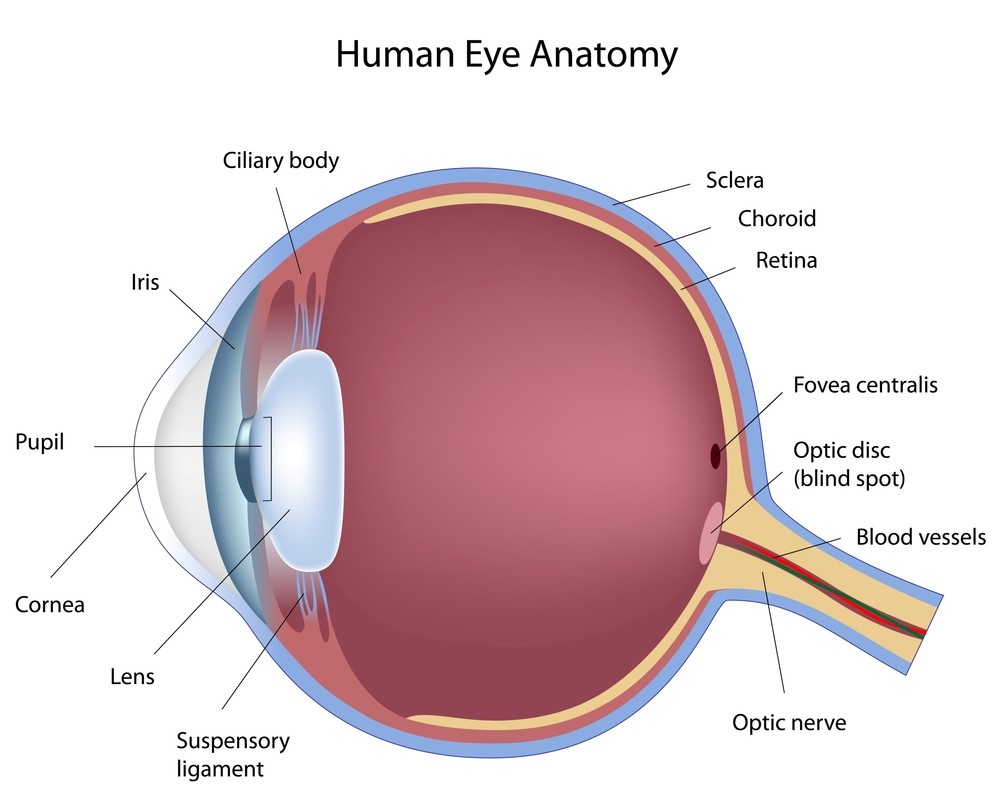 eye surgery what is laser eye surgery laser eye surgery hub eye surgery what is laser eye surgery laser eye surgery hub