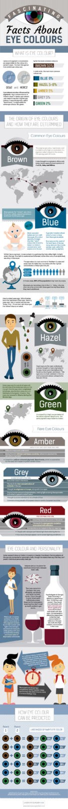 Facts About Your Eyes